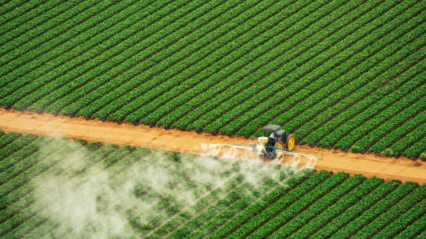Best Best Pest Control Companies  in Strafford, MO